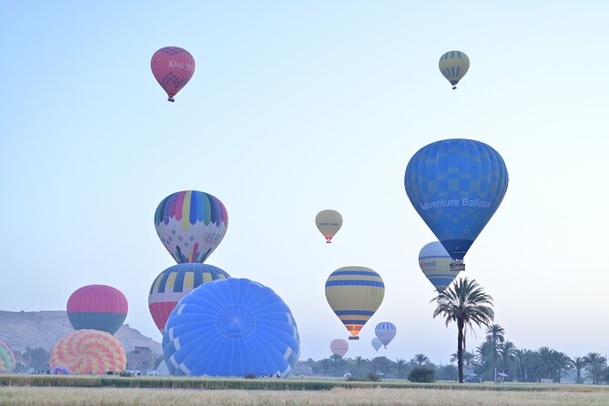1 Day Private Tour with Hot Air Balloon from Hurghada to Luxor - Hatshepsut Temple and the Colossi of Memnon
