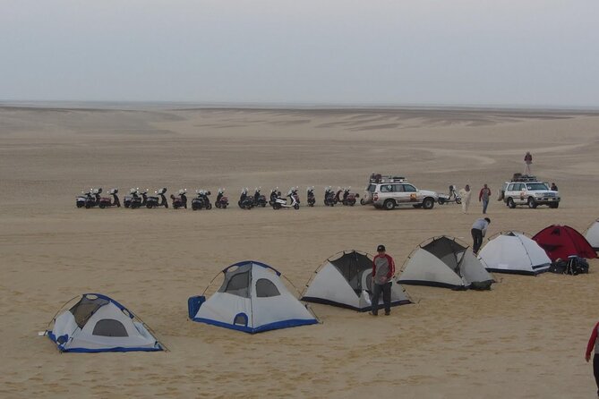 2 Day Bahariya Oasis White Desert Tour - How the $320 price works out
