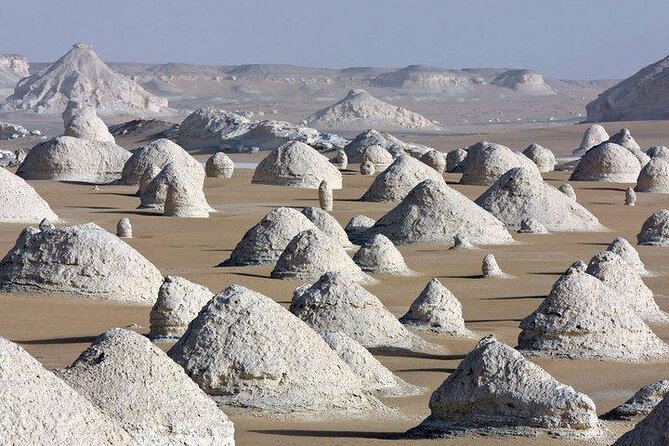 2 Day Bahariya Oasis White Desert Tour - The guide makes a real difference