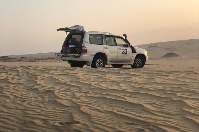 2-Day Egypt Desert Rose Tour - New White Desert and the overnight camp