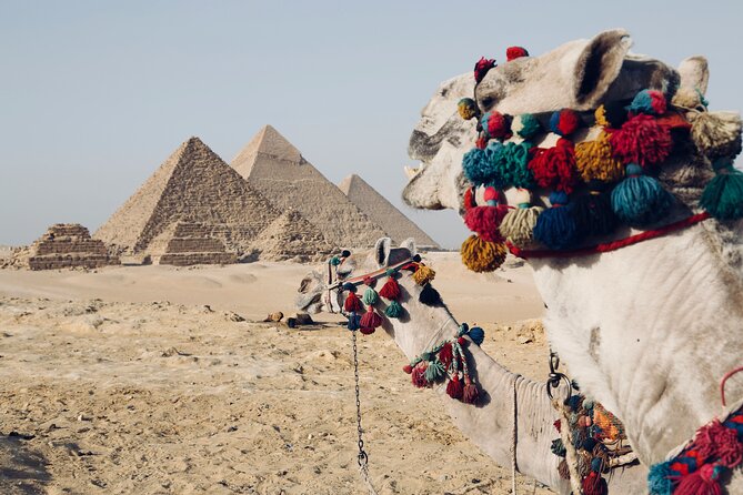 2 Day Pyramid, Sakkara, Memphis, Museum, and Citadel Private Tour - A useful two-day introduction to Cairo