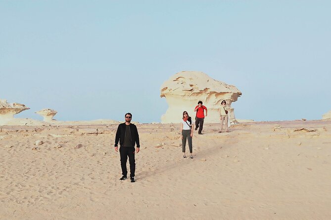 2-Day Shared Tour in White Desert from Cairo - The 6:30 a.m. drive from Cairo to Bahariya Oasis