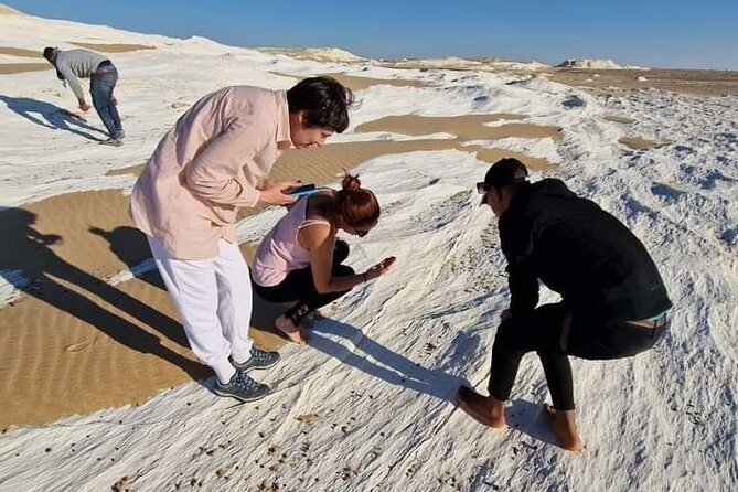 2 Days 1 Night to White and Black Desert from Cairo or Giza - A night of barbecue, tea, fire, and stars