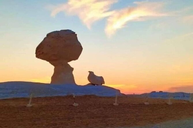 2 Days Camping Trip in the White Desert of Cairo - New White Desert and the evening camp