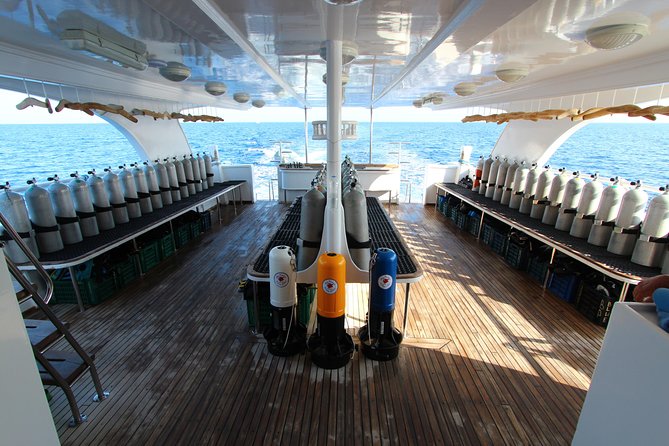 2-Dive adventure-Safe & Top-rated boat for Certified Divers - The second site around 2:00 p.m.