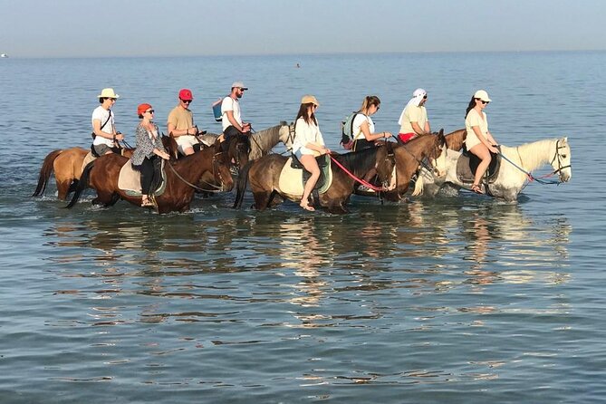2 hours Horse Riding on The Sea and Desert- Hurghada - Key points at a glance