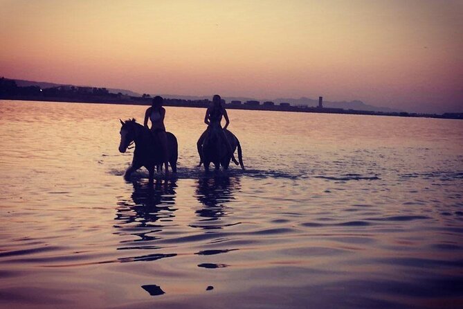 2 hours Horse Riding on The Sea and Desert- Hurghada - What the Hurghada horse ride is really like