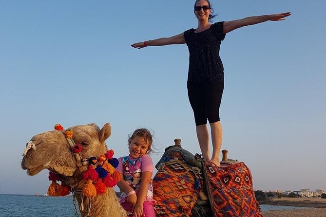 2 hours Horse Riding on The Sea and Desert- Hurghada - Riding horses into shallow Red Sea water