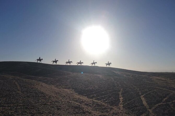 2 hours Horse Riding on The Sea and Desert- Hurghada - Is $18.82 good value?