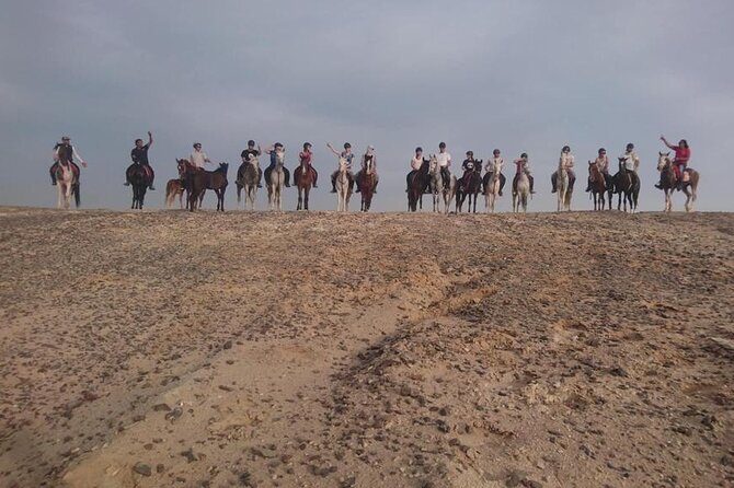 2 hours Horse Riding on The Sea and Desert- Hurghada - Pickup, waiting, and language details