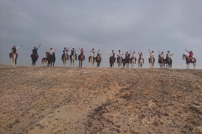 2 hours Horse Riding on The Sea and Desert- Hurghada - Who should book this activity?