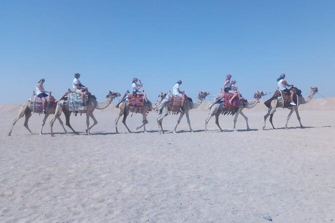 2 hours Horse Riding on The Sea and Desert- Hurghada - Calm horses and practical instruction for first-time riders