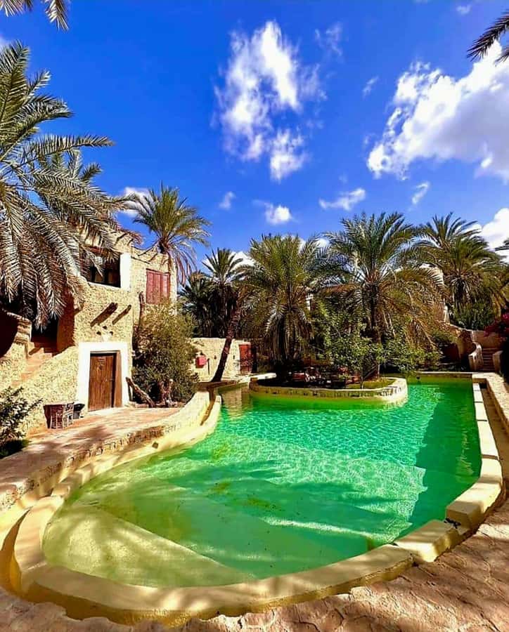 2 Nights 3 Days at Siwa Oases camp from Cairo - Salt lakes and springs: the most practical advice