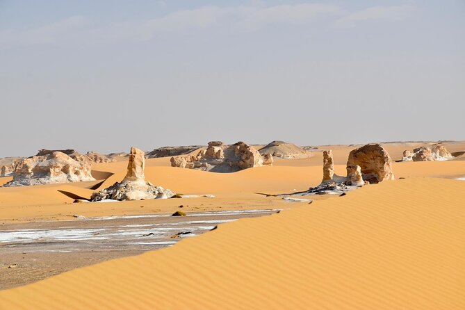 3 Days 2 Nights Black and White Desert Tours Experience - Five details that shape the experience