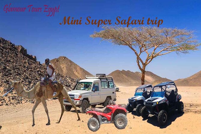 3 hours Mini Super Safari (Family Safari) - Key points to know before booking