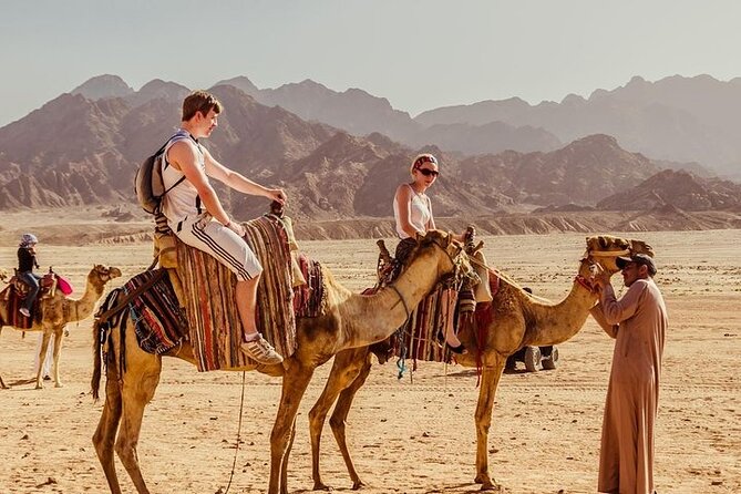 3 Hours Quad Riding, Bedouin Village and Camels in Hurghada - Tea, water, and a Bedouin village stop