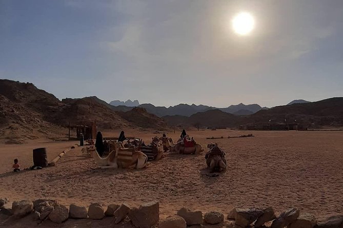 3 Hours Safari by Quad Bike - Hurghada - A desert ride with a village stop