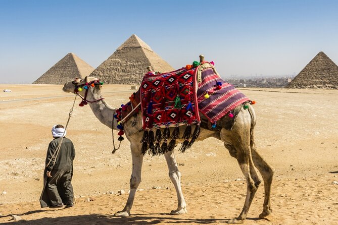 4 Days Private Egypt Tour to Cairo Luxor and Aswan - Who should book this four-day Egypt trip?