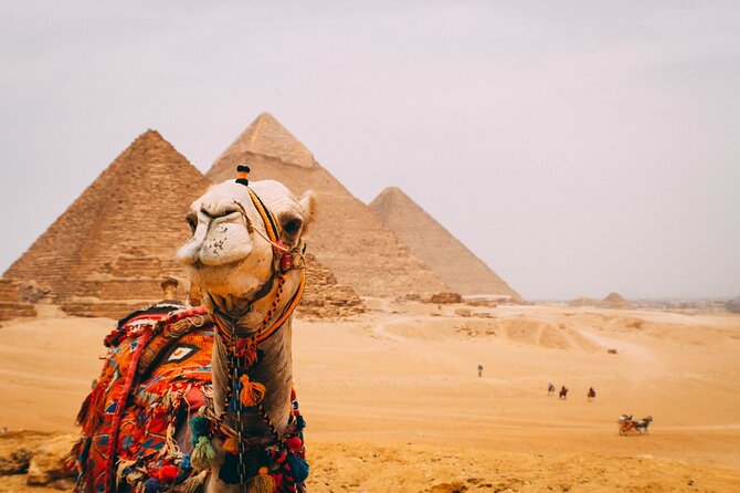 6 Hour Private Tour in Giza Pyramids, Citadel and Coptic Cairo - Lunch and the road to Saladin’s Citadel