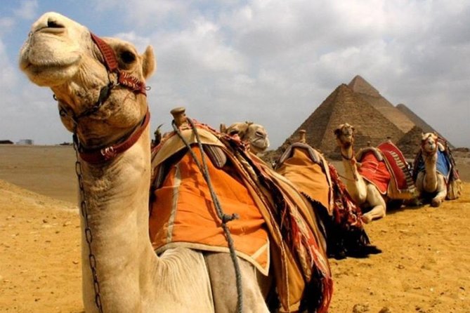 6 Hours visit to Giza pyramids sphinx and Sakkara - Saqqara reveals an earlier side of Egyptian history