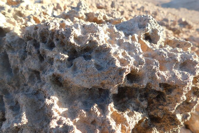 Adventure Morning Trip Quad Safari - Who will enjoy this El Gouna safari