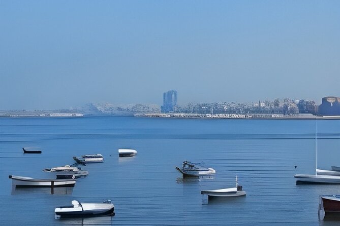 Alexandria Private Day Tour From Cairo - Drivers, road time, and comfort
