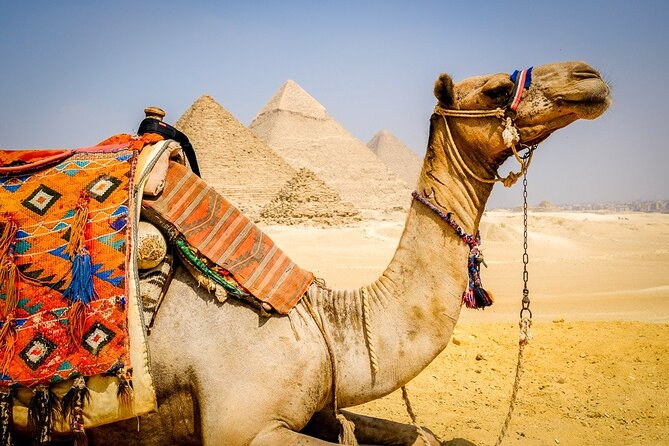 All INC- Pyramids,Camel Ride،(1 hour) four wheeler (ATV)& Lunch - Egyptian lunch with a pyramid view