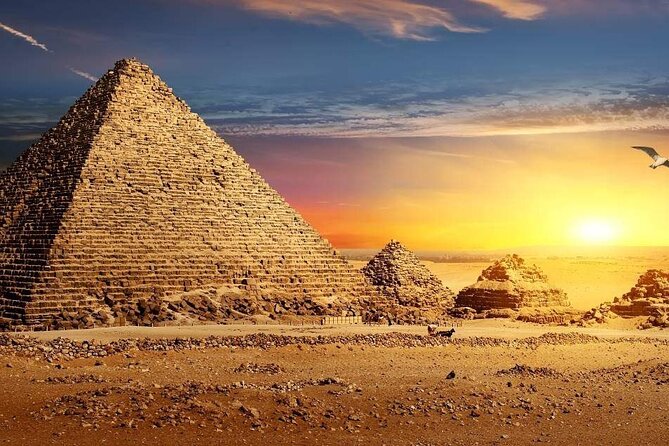 All Inclusive Day Tour To Cairo from Alexandria Port - Private or group tour: which suits you?