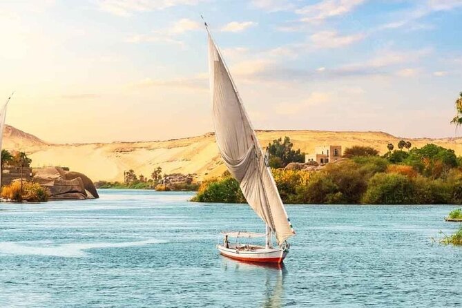 All Inclusive Day Tour To Cairo from Alexandria Port - The guides are a major part of the value