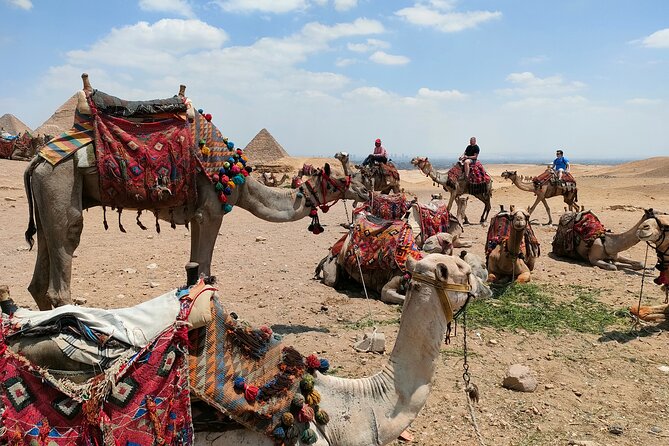 All inclusive Giza Pyramids ,Sphinx ,Lunch ,Camel&Inside pyramid - A private start in Cairo or Giza
