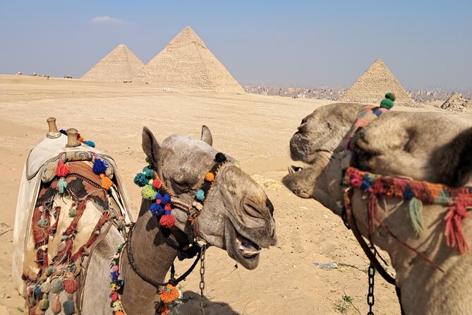 All-inclusive Saqqara, Giza pyramids,lunch,fees,30 min camel ride - Key points at a glance