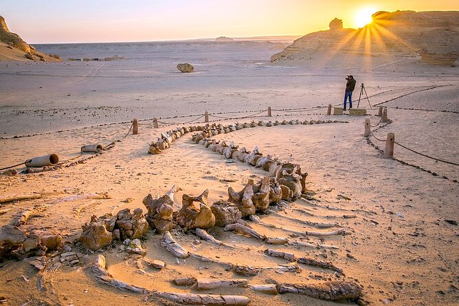 Allinclusive Private Tour Fayoum Oasis & Valley of Wales - Magic Lake and the First Taste of the Oasis