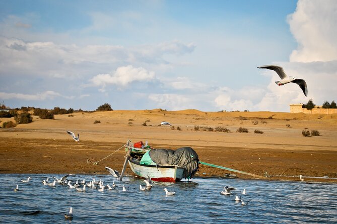 Allinclusive Private Tour Fayoum Oasis & Valley of Wales - Lunch Beside the Lake