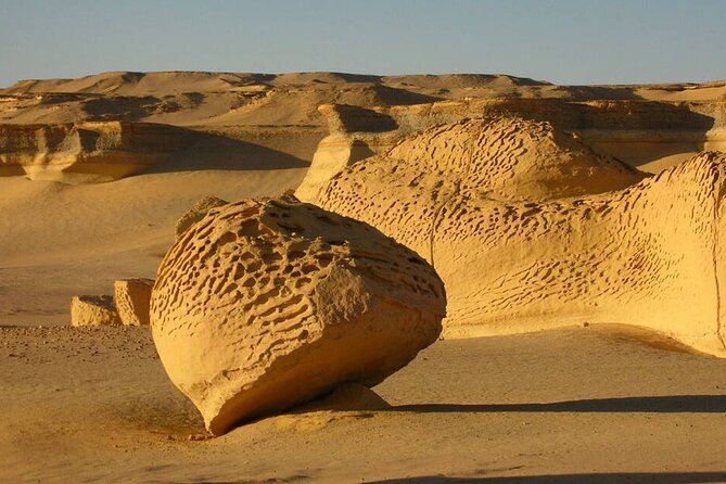 Allinclusive Private Tour Fayoum Oasis & Valley of Wales - The Valley of the Whales Question