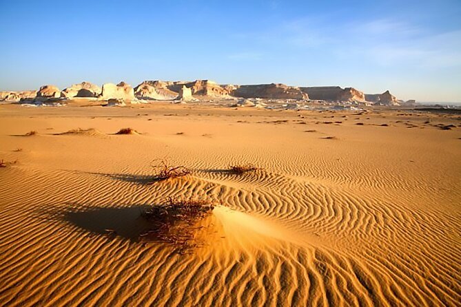 Allinclusive Private Tour Fayoum Oasis & Valley of Wales - Guides, Vehicles, and Private Touring
