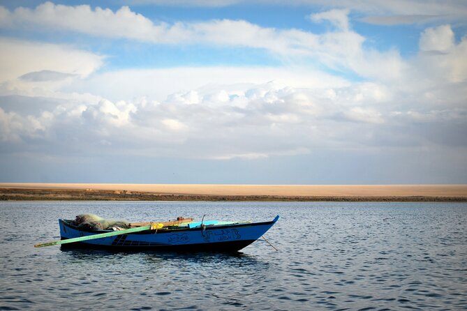 Allinclusive Private Tour Fayoum Oasis & Valley of Wales - What the $88 Price Really Covers
