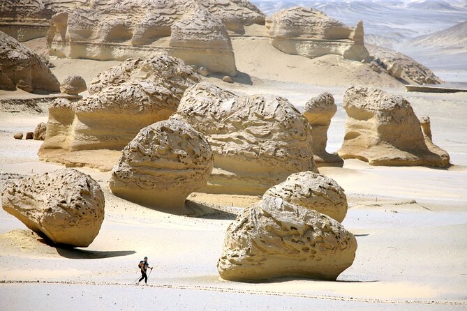 Allinclusive Private Tour Fayoum Oasis & Valley of Wales - Wadi El Rayan and Egypt’s Only Waterfalls