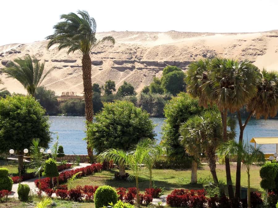 Aswan: Private All-inclusive Guided Tour of Aswan Highlights - Lunch at a local restaurant