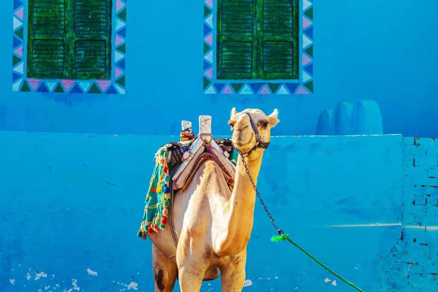 Aswan: Shared Half-Day Tour to the Nubian Village - Timing, comfort, and what to bring