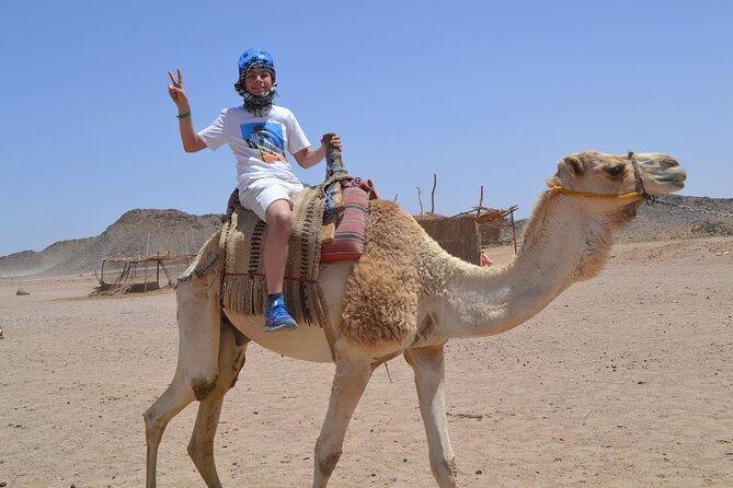 ATV Quad Bike Safari & Camel Ride With Transfer - Hurghada - The Bedouin village after roughly one hour