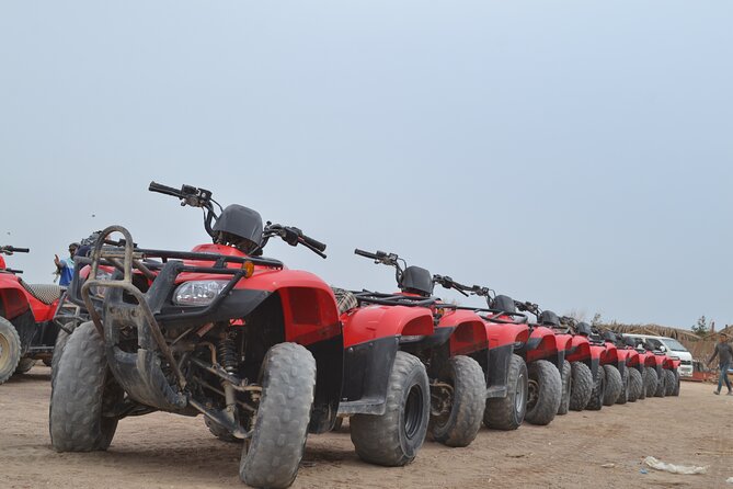 ATV Quad Bike Safari & Camel Ride With Transfer - Hurghada - What the camel ride adds