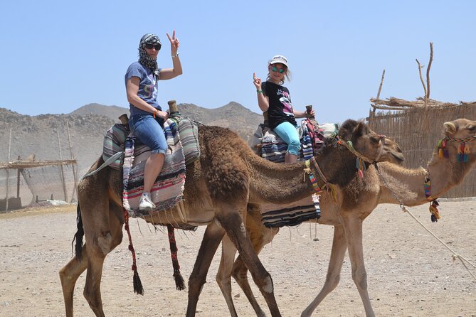 ATV Quad Bike Safari & Camel Ride With Transfer - Hurghada - The equipment question deserves attention