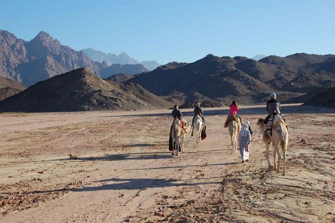 Bedouin BBQ in the Egyptian Desert by 4x4 - The 30-minute walk to the Bedouin camp