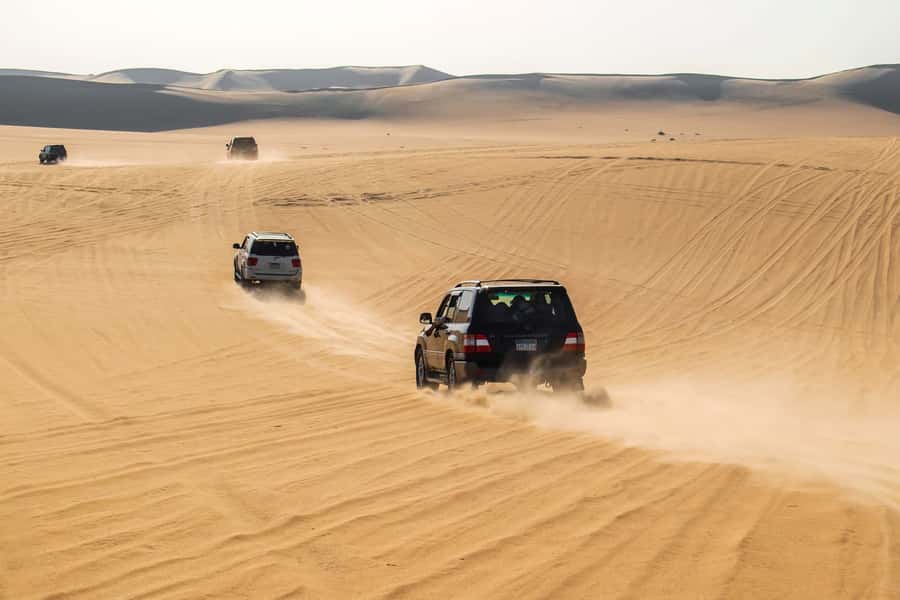 Cairo: 3-Day Siwa Oasis Tour, Safari, Camp & Historical Site - Guides, drivers, and the human side of the trip