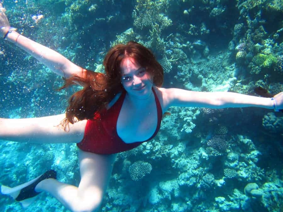 Cairo: Ain Sokhna Snorkeling cruise & optional transfer - Key points at a glance
