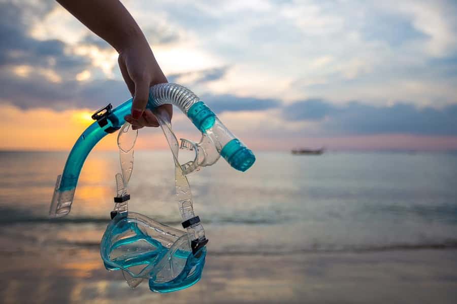 Cairo: Ain Sokhna Snorkeling cruise & optional transfer - Practical advice for making the day easier