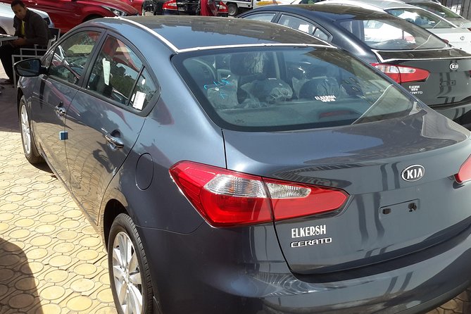 Cairo Airport Private Arrival Transfer or departure transfer - Arriving at Cairo Airport with a driver waiting