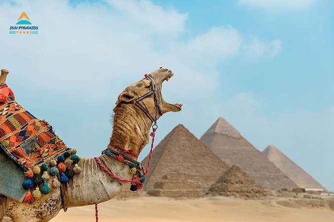 Cairo and Nile Cruise Tour - Quick points before you book