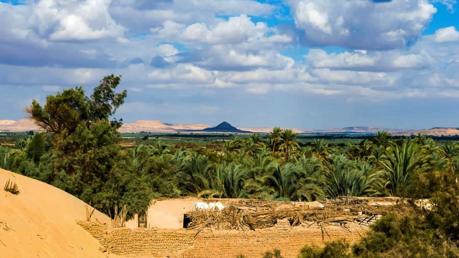 Cairo: Bahariya Oasis & White Desert 3-Day Private Adventure - What the $245 price really covers