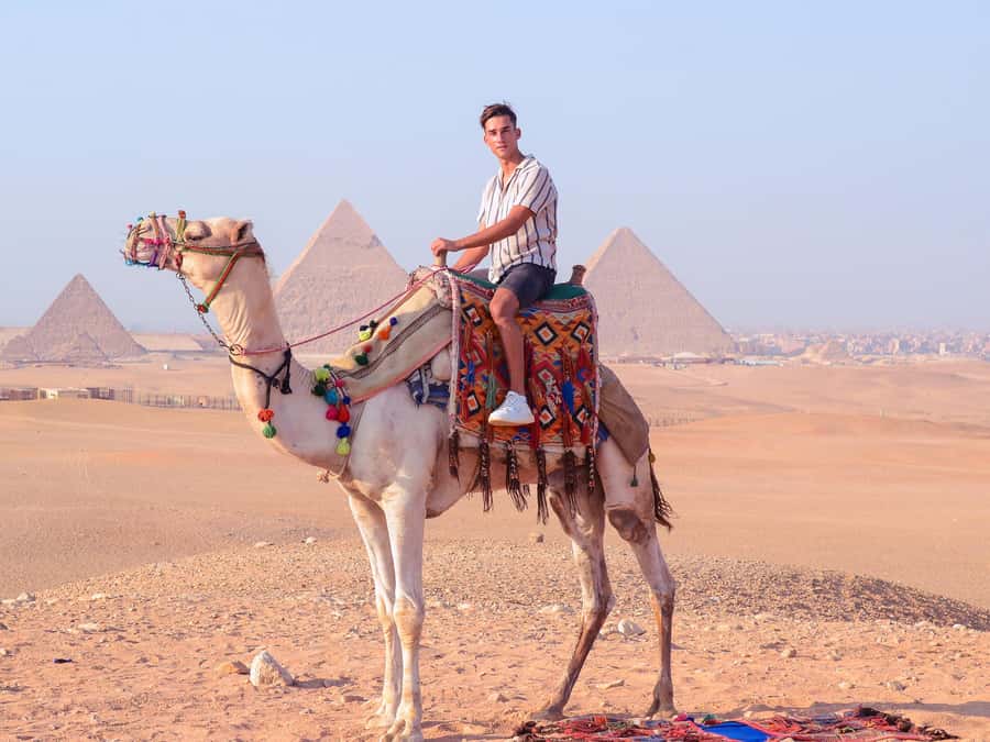 Cairo: Camel Ride Around The Pyramids with Hotel Pickup - Practical tips for a smoother ride